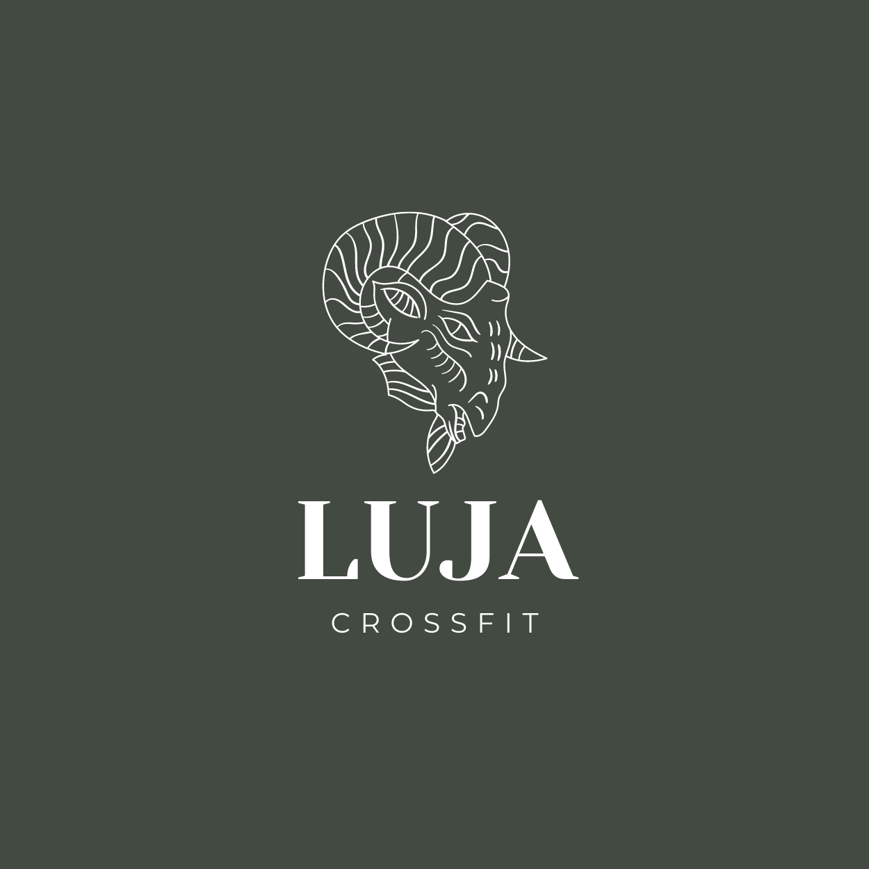 CrossFit Luja