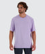 Lavender / S